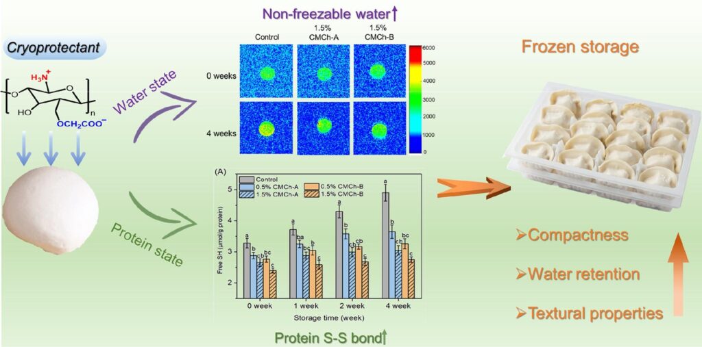 carboxymethyl chitosan